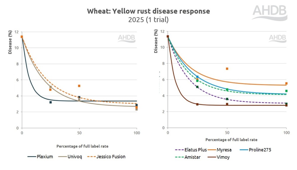 Wheat yellow rust disease response to fungicides chart 2025.